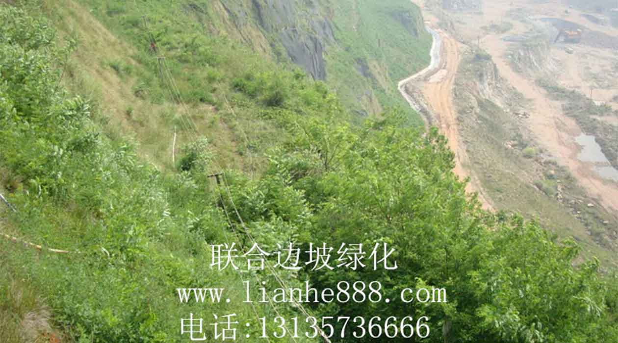 1719990631301997.jpg 礦山復綠.jpg